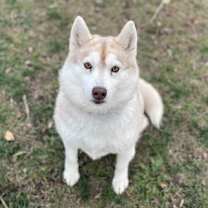 Thumbnail photo of Beth #3