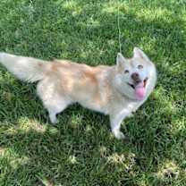 Thumbnail photo of Beth #4