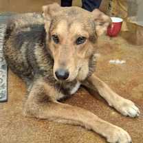 Thumbnail photo of Lefty #1