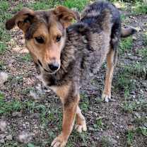 Thumbnail photo of Lefty #2