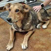 Thumbnail photo of Lefty #3