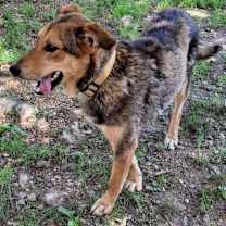 Thumbnail photo of Lefty #4