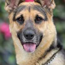 Thumbnail photo of Rola von Riesa #1