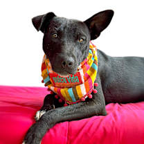 Thumbnail photo of Olivia #2