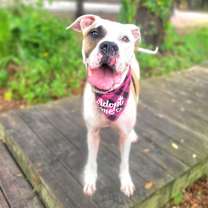 Thumbnail photo of Wilma #2