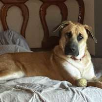 Thumbnail photo of Sven #2