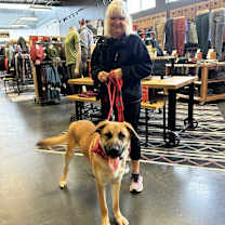 Thumbnail photo of Sven #3