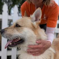Thumbnail photo of COOPER #3