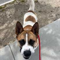 Thumbnail photo of SANDI #3