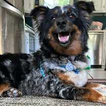 Thumbnail photo of Abbi #1