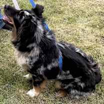 Thumbnail photo of Abbi #4