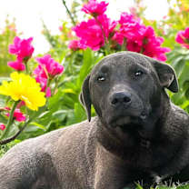 Thumbnail photo of Reya #1