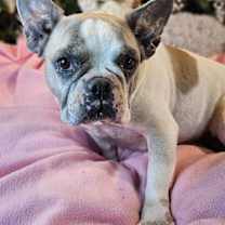 Thumbnail photo of Maddie #2