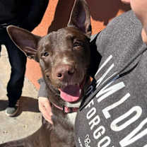 Thumbnail photo of Fanboy #4