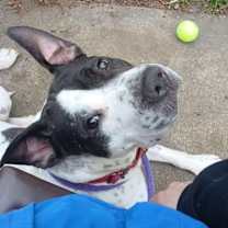 Thumbnail photo of Chunky Monkey #3