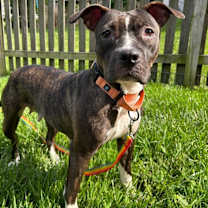 Thumbnail photo of Marceline #2