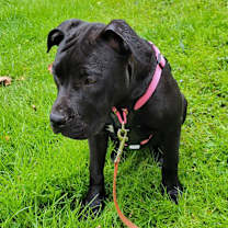 Thumbnail photo of Faye #2