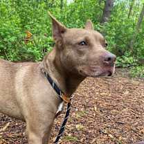 Thumbnail photo of Breezy  #2