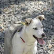 Thumbnail photo of Sunny #3