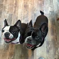 Thumbnail photo of Marco #2