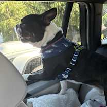 Thumbnail photo of Marco #1