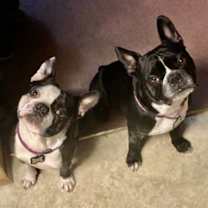 Thumbnail photo of Marco #3