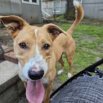 Thumbnail photo of Luna #2