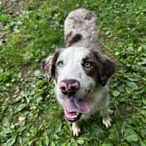 Thumbnail photo of Fidget #1