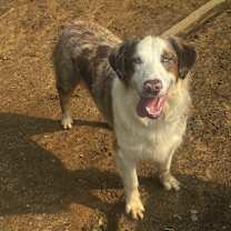 Thumbnail photo of Fidget #2