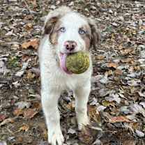 Thumbnail photo of Fidget #4