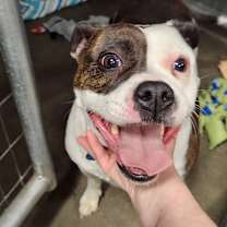 Thumbnail photo of Fefe #2