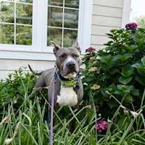 Thumbnail photo of Kane #1