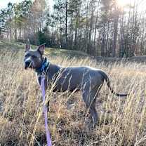 Thumbnail photo of Kane #2