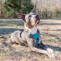 Thumbnail photo of Kane #3