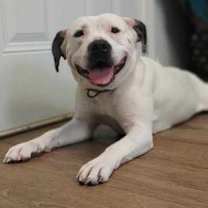 Thumbnail photo of Diamond #2