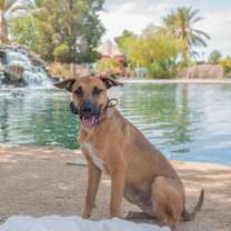 Thumbnail photo of Corduroy #3