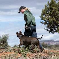 Thumbnail photo of Gibson #4