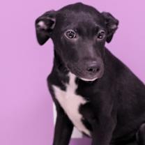 Thumbnail photo of Emmalyn #1