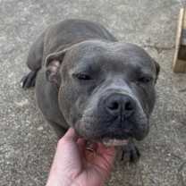 Thumbnail photo of Lucy #1