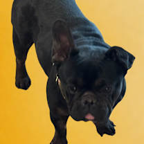 Thumbnail photo of Nova #2