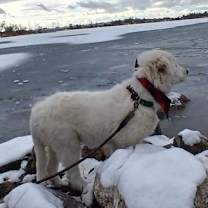 Thumbnail photo of Mr Yuki #4