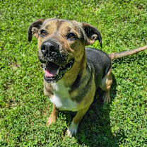 Thumbnail photo of Waffles #1