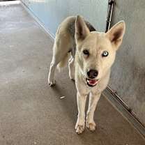 Thumbnail photo of Ray #1