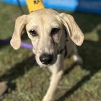 Thumbnail photo of Gunner #1