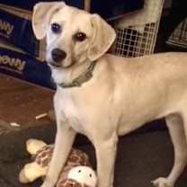 Thumbnail photo of Gunner #2