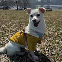 Thumbnail photo of Bori (D) #4