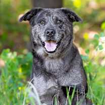 Thumbnail photo of Houston #1