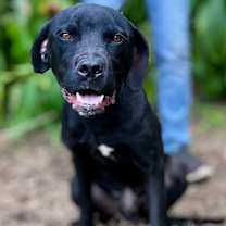 Thumbnail photo of McDuff #4