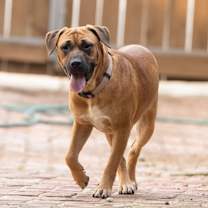 Thumbnail photo of Harper #4