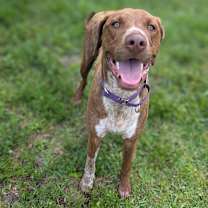 Thumbnail photo of Lionel Richie #1